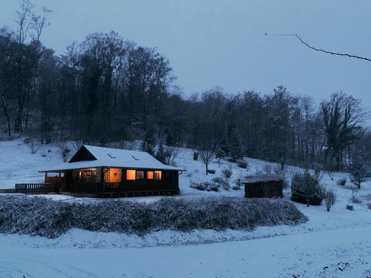 Holiday House Roko Sveti Ivan Zelina Dış mekan fotoğraf